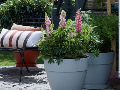 vibia-坎帕納圓盆-灰