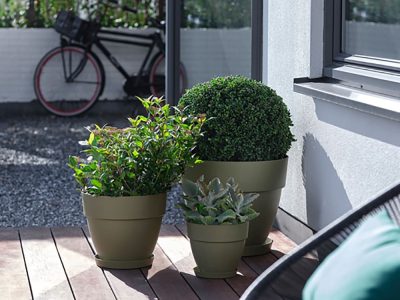 盆器 vibia-坎帕納圓盆-鼠尾草