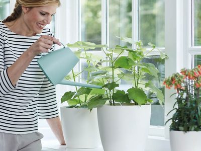 elho-比利時澆水器-1.8L-綠薄荷產品照