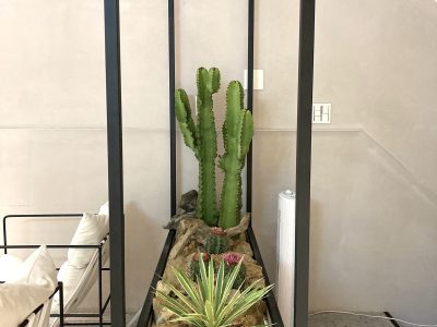 仿真-龍舌蘭 室內綠化