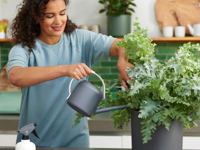 質感澆水器-1.7L-灰黑-配白手把